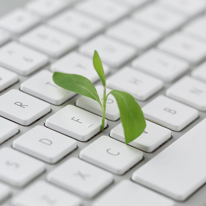 A green seedling sprouting up between the keys of a white computer keyboard